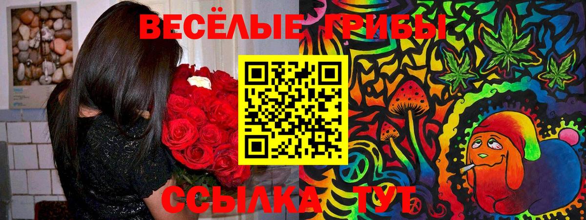 Галлюциногенные грибы MAGIC MUSHROOMS Киров